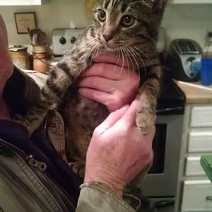 Meet your Posher, Betsy